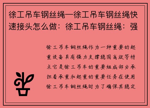 徐工吊车钢丝绳—徐工吊车钢丝绳快速接头怎么做：徐工吊车钢丝绳：强力支撑，稳固高效