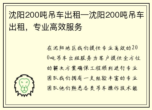 沈阳200吨吊车出租—沈阳200吨吊车出租，专业高效服务