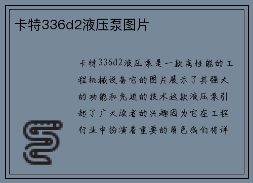 卡特336d2液压泵图片