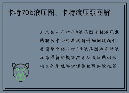 卡特70b液压图、卡特液压泵图解