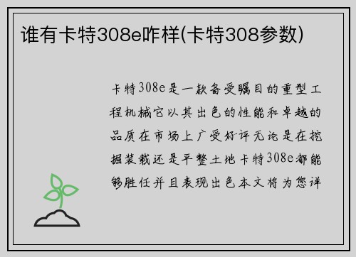 谁有卡特308e咋样(卡特308参数)